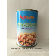 Delicious Beans Canned Broad Beans, Foul Medammes Broad Beans in Brine